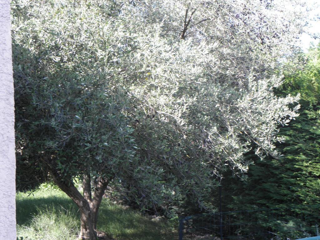 La Parenthese Διαμέρισμα Sommières Δωμάτιο φωτογραφία